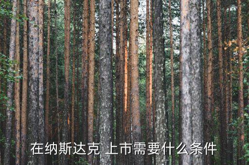 美國股票如何上市,國內如何買美國股票