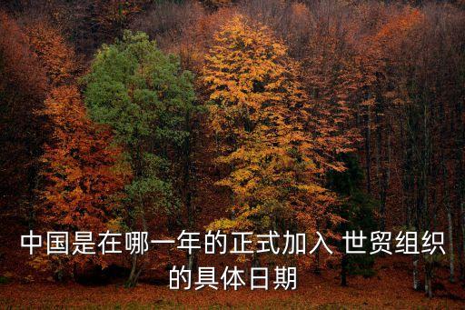 中國(guó)加入世貿(mào)組織議定書