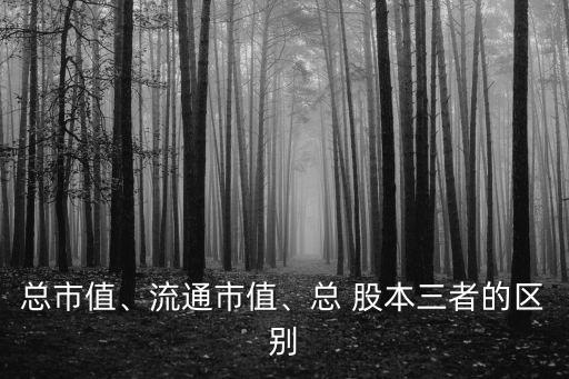 總市值、流通市值、總 股本三者的區(qū)別