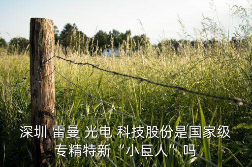 深圳 雷曼 光電 科技股份是國家級(jí)專精特新“小巨人”嗎