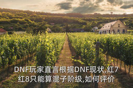 DNF玩家直言根據(jù)DNF現(xiàn)狀,紅7紅8只能算混子階級(jí),如何評(píng)價(jià)