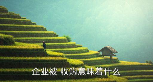企業(yè)被 收購(gòu)意味著什么