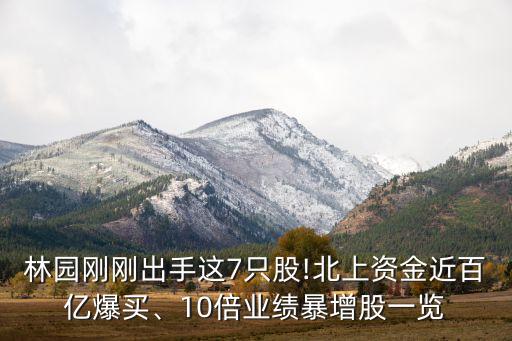 林園剛剛出手這7只股!北上資金近百億爆買、10倍業(yè)績暴增股一覽