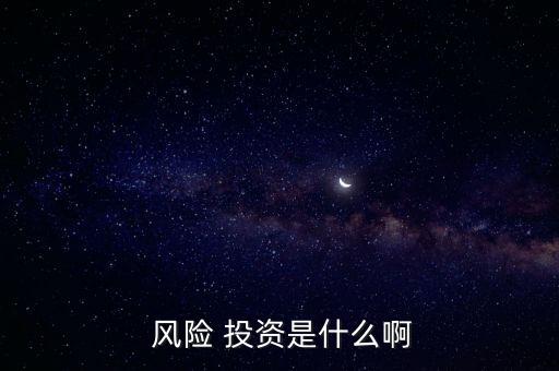  風險 投資是什么啊