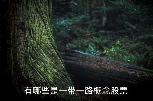成農(nóng)飼料股份有限公司,上海新農(nóng)飼料股份有限公司上市了嗎