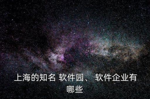 上海安碩軟件公司怎么樣,上海復(fù)深藍軟件公司怎么樣