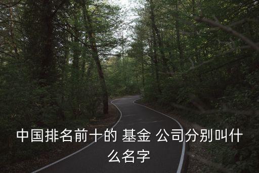上海大的基金公司,上海基金公司排名前十