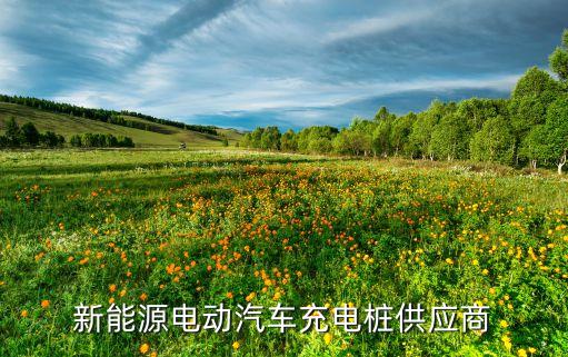 新能源電動汽車充電樁供應商