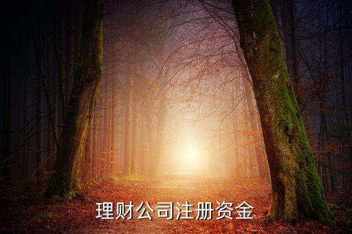 理財(cái)公司注冊(cè)資金