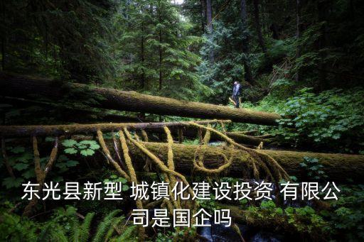 東光縣新型 城鎮(zhèn)化建設投資 有限公司是國企嗎