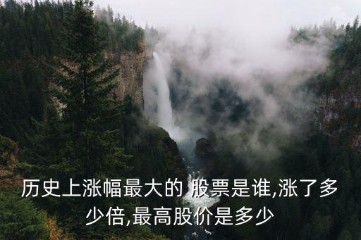 歷史上漲幅最大的 股票是誰(shuí),漲了多少倍,最高股價(jià)是多少