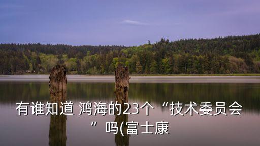 鴻海集團股東,鴻?？萍技瘓F股東