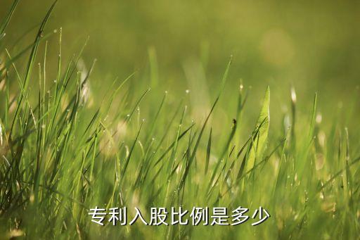 專(zhuān)利入股比例是多少