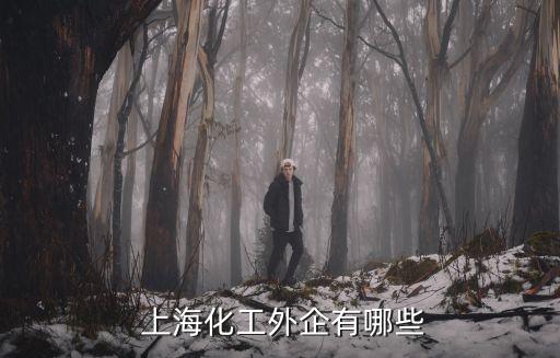 上海化工外企有哪些