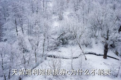 天弘增利寶貨幣市場(chǎng)基金招募說(shuō)明書