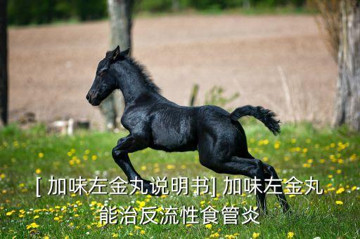 [ 加味左金丸說(shuō)明書] 加味左金丸能治反流性食管炎