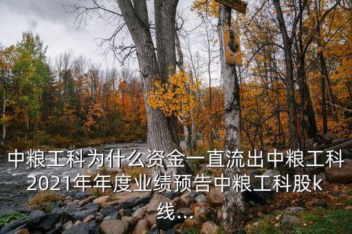 中糧工科為什么資金一直流出中糧工科2021年年度業(yè)績(jī)預(yù)告中糧工科股k線...