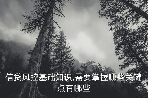 信貸風(fēng)控基礎(chǔ)知識(shí),需要掌握哪些關(guān)鍵點(diǎn)有哪些
