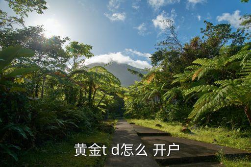  黃金t d怎么 開(kāi)戶