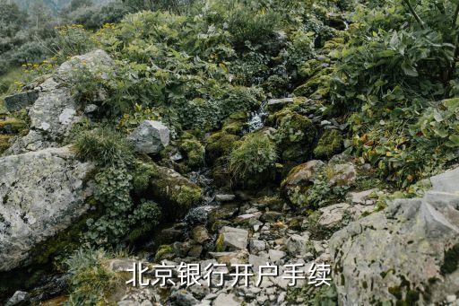 北銀金融公司有營(yíng)業(yè)執(zhí)照嗎,金融公司不提供營(yíng)業(yè)執(zhí)照原件怎么辦