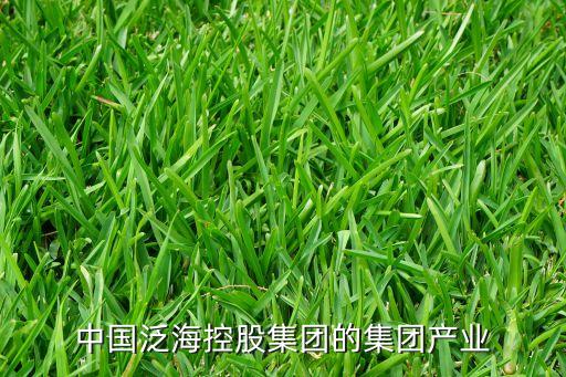 中國泛?？毓杉瘓F(tuán)的集團(tuán)產(chǎn)業(yè)