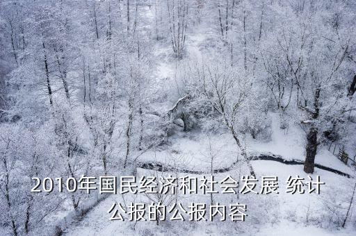 2010年國民經濟和社會發(fā)展 統(tǒng)計公報的公報內容