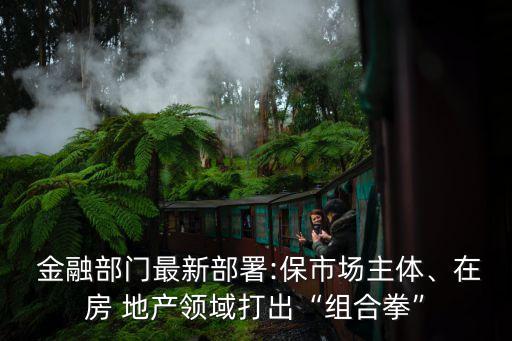  金融部門最新部署:保市場(chǎng)主體、在房 地產(chǎn)領(lǐng)域打出“組合拳”
