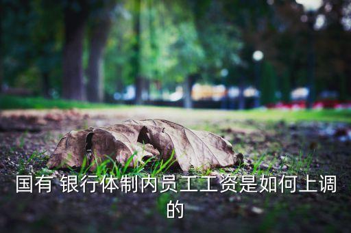 國(guó)有 銀行體制內(nèi)員工工資是如何上調(diào)的