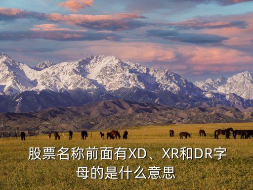  股票名稱前面有XD、XR和DR字母的是什么意思