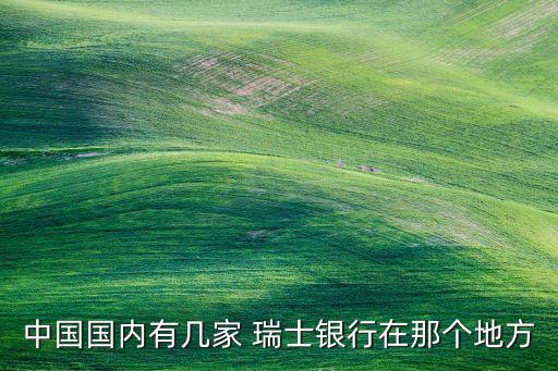 中國國內(nèi)有幾家 瑞士銀行在那個(gè)地方