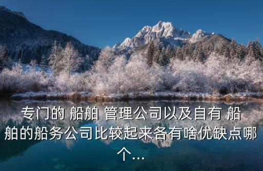 專門(mén)的 船舶 管理公司以及自有 船舶的船務(wù)公司比較起來(lái)各有啥優(yōu)缺點(diǎn)哪個(gè)...