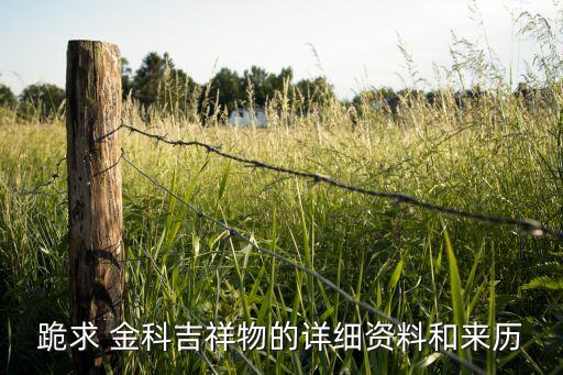 跪求 金科吉祥物的詳細資料和來歷