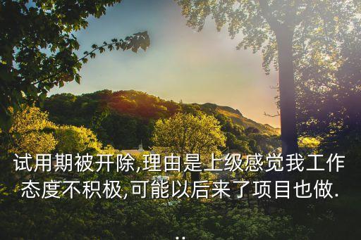 試用期被開除,理由是上級感覺我工作態(tài)度不積極,可能以后來了項(xiàng)目也做...