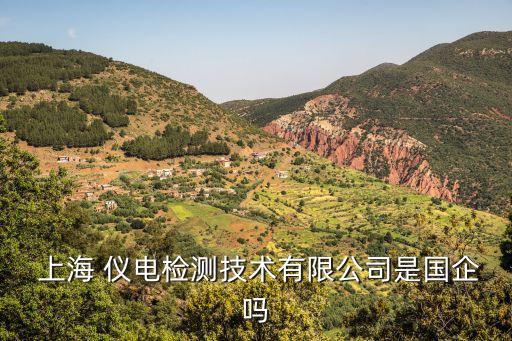  上海 儀電檢測(cè)技術(shù)有限公司是國(guó)企嗎