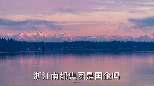 浙江南都集團是國企嗎