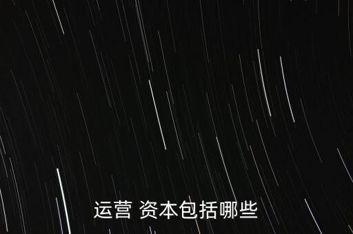 運(yùn)營 資本包括哪些
