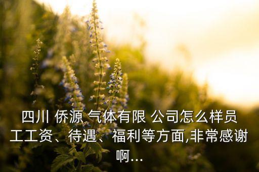 四川 僑源 氣體有限 公司怎么樣員工工資、待遇、福利等方面,非常感謝啊...