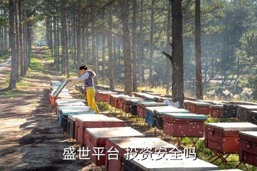 天津天財盛世投資有限公司,盛世金豪(天津)建設投資有限公司