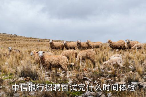  中信銀行招聘面試完什么時間體檢
