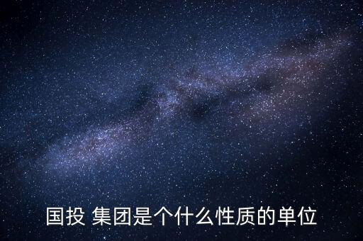 國投 集團是個什么性質的單位