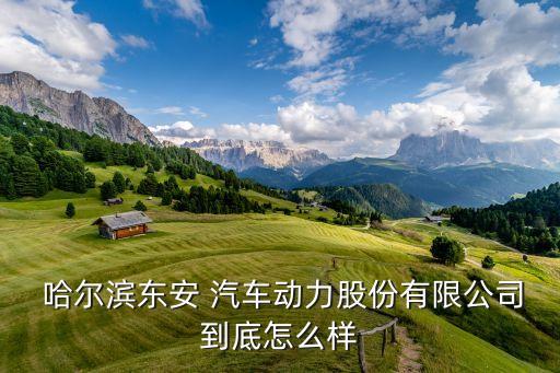  哈爾濱東安 汽車(chē)動(dòng)力股份有限公司到底怎么樣
