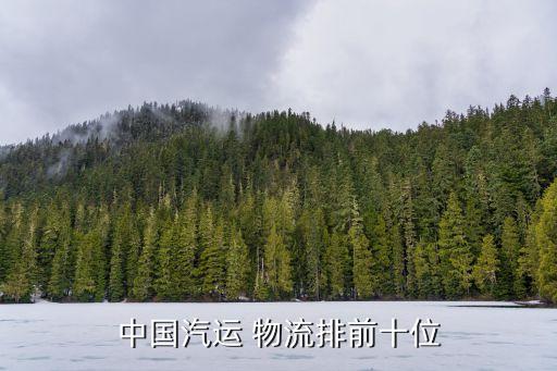 中國汽運(yùn) 物流排前十位