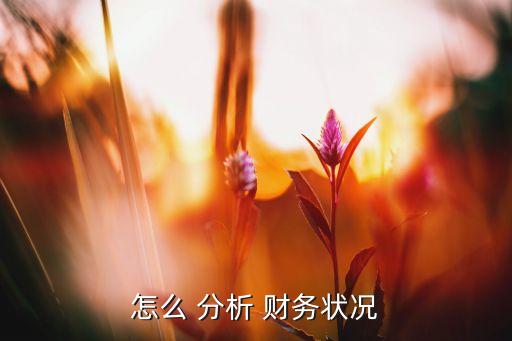 香奈兒公司財務(wù)報表分析,哪個公司的財務(wù)報表好分析