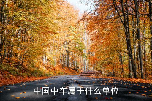 北京南車時(shí)代電氣,株洲南車時(shí)代電氣股份有限公司