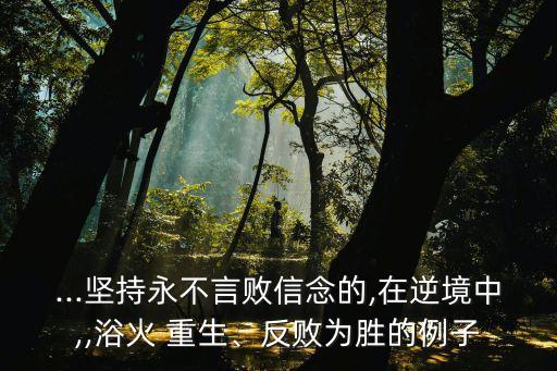 ...堅持永不言敗信念的,在逆境中,,浴火 重生、反敗為勝的例子