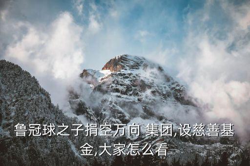 魯冠球之子捐空萬向 集團(tuán),設(shè)慈善基金,大家怎么看