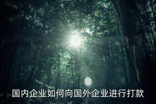 公司給公司打錢(qián),為什么公司打錢(qián)打不進(jìn)去