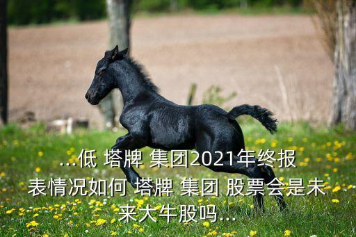 ...低 塔牌 集團(tuán)2021年終報表情況如何 塔牌 集團(tuán) 股票會是未來大牛股嗎...