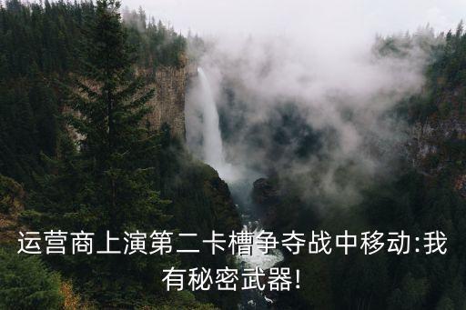 李躍中國移動翻一番達(dá)到,中國移動李躍 藺思濤