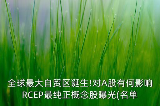 全球最大自貿(mào)區(qū)誕生!對(duì)A股有何影響RCEP最純正概念股曝光(名單